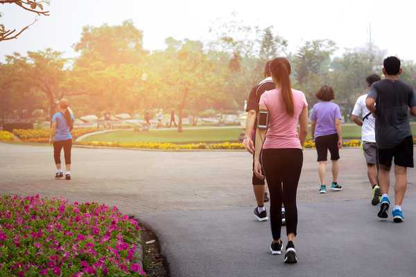 Group,Of,People,Exercise,Walking,In,The,Park,In,Morning